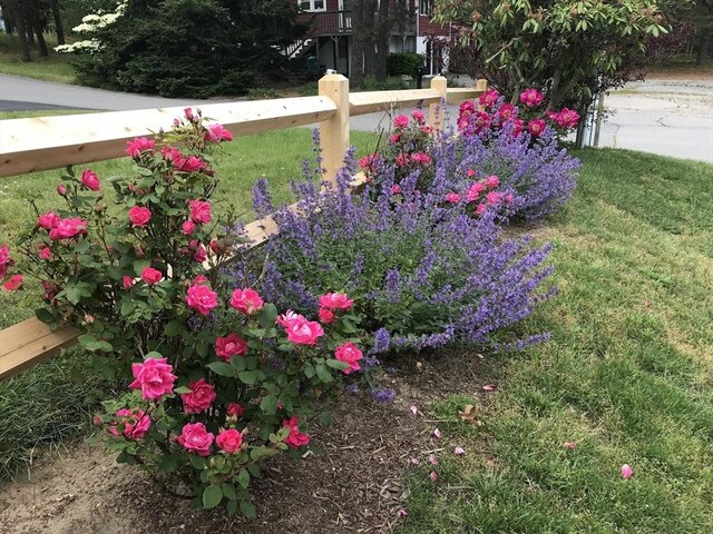 37 Berkeley Dr, Falmouth, MA 02536 - view of yard