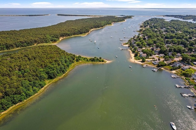 37 Berkeley Dr, Falmouth, MA 02536 - bird's eye view of a heavily wooded area and a nearby body of water