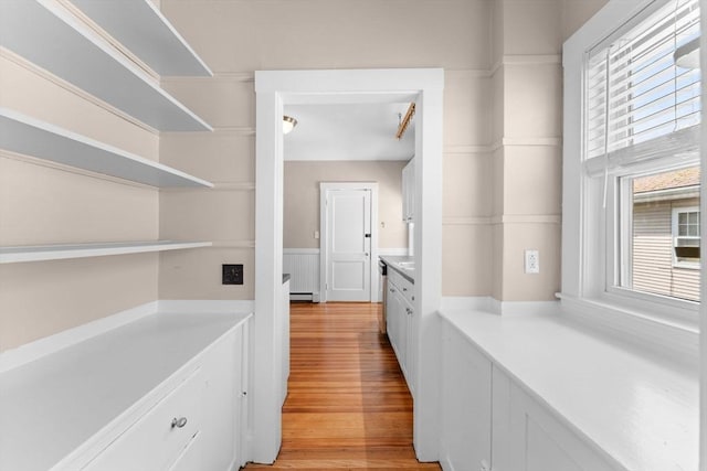 708 Belmont St Unit 708, Watertown, MA 02472 - hallway with light wood-style floors and plenty of natural light