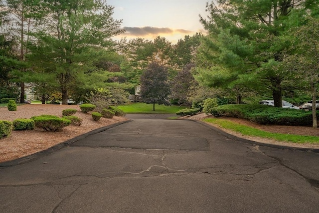 6 Janet Rd Unit 10, Easton, MA 02375 - view of road