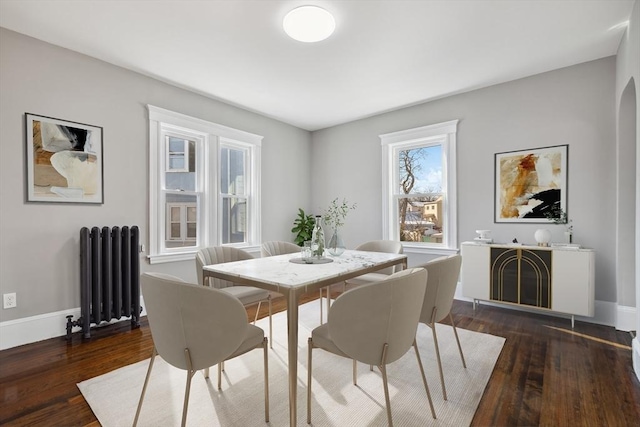 dining space featuring dark wood-type flooring and radiator