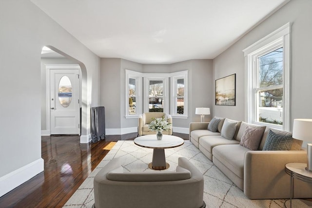 living room featuring hardwood / wood-style flooring