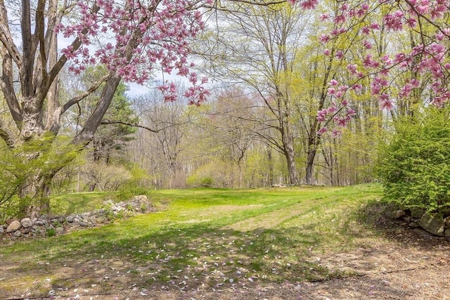view of yard featuring a view of trees
