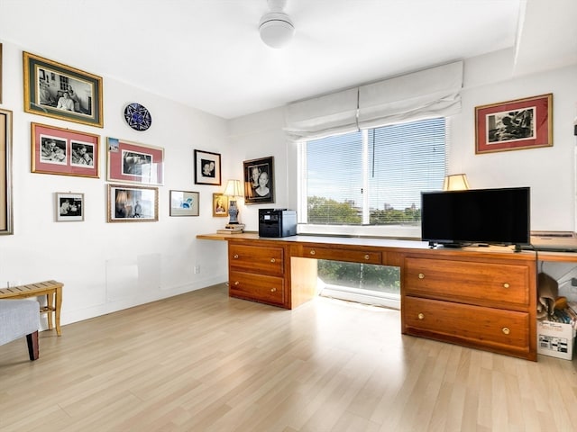 office with ceiling fan and light hardwood / wood-style flooring