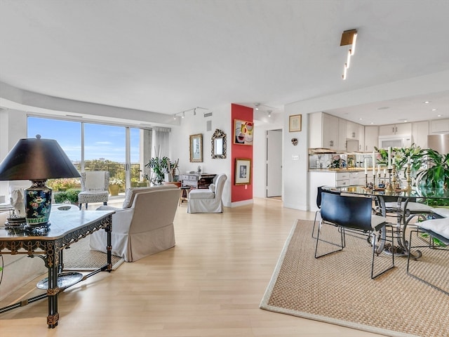 living room featuring light hardwood / wood-style flooring and track lighting