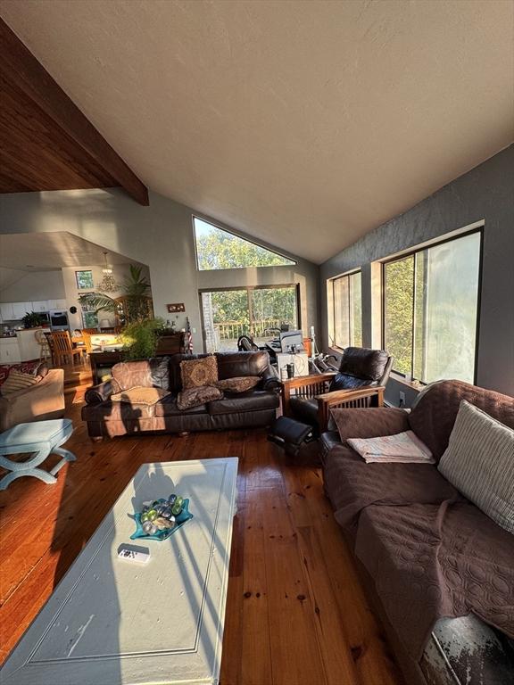 135 Marven Way, Wellfleet, MA 02667 - living room featuring hardwood / wood-style flooring and plenty of natural light