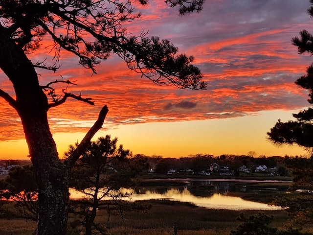 135 Marven Way, Wellfleet, MA 02667 - view of nature featuring a nearby body of water