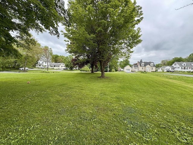 17 Walnut St, Gill, MA 01354 - view of grassy yard