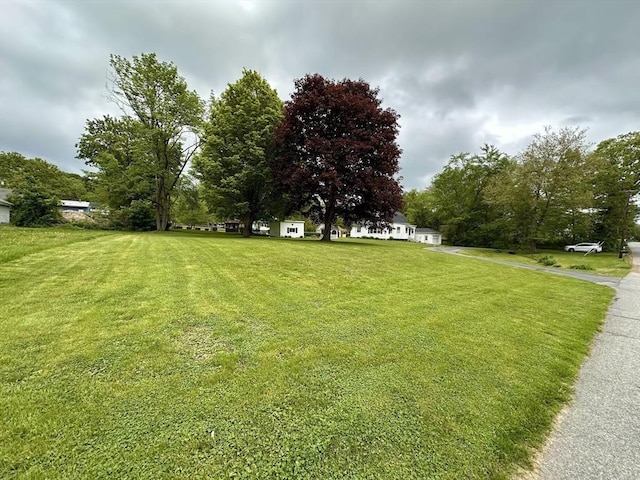 17 Walnut St, Gill, MA 01354 - view of green lawn