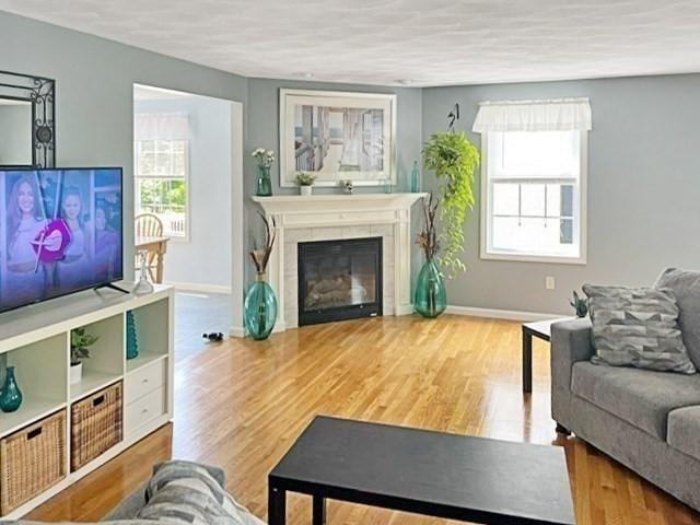 21 Parlee St, Salem, MA 01970 - living room featuring healthy amount of natural light, a tile fireplace, and wood finished floors