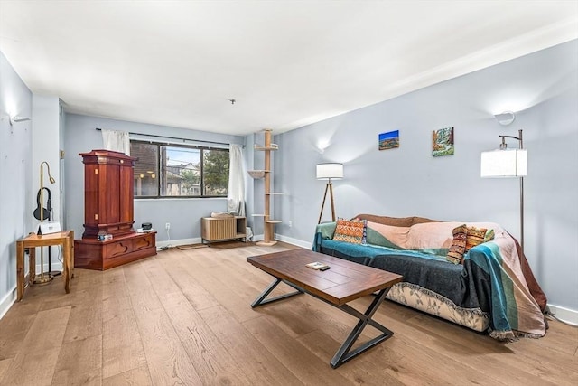 15 N Beacon Unit Ul01, Boston, MA 02134 - living area with wood finished floors and baseboards
