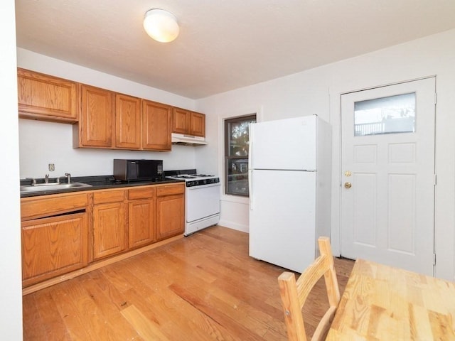 187 W 5th St, Boston, MA 02127 - kitchen featuring white appliances, under cabinet range hood, brown cabinets, light wood-style flooring, and dark countertops