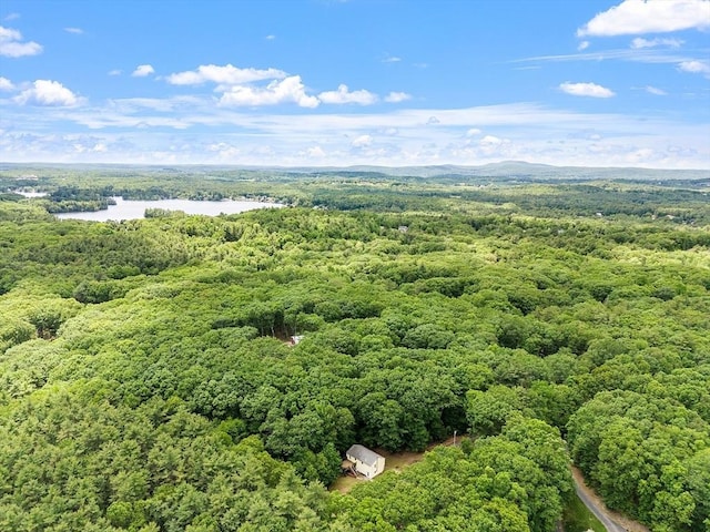 525 Flat Hill Rd, Lunenburg, MA 01462 - aerial view of a forest and a large body of water