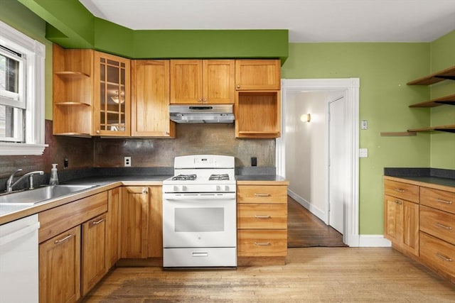 27 Chilcott Pl Unit 2, Boston, MA 02130 - kitchen with white appliances, under cabinet range hood, open shelves, a sink, and light wood-type flooring