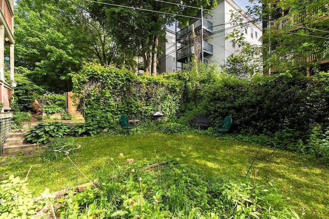 27 Chilcott Pl Unit 2, Boston, MA 02130 - view of yard