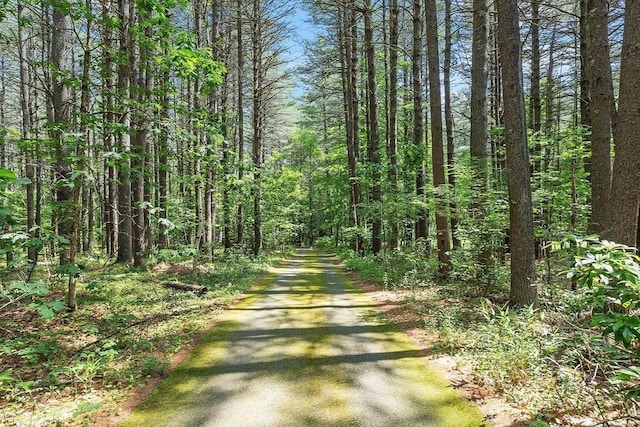 12 Green Needles Rd, Littleton, MA 01460 - view of road with a forest view
