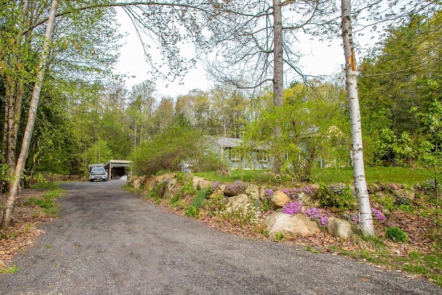 view of asphalt driveway with a forest view