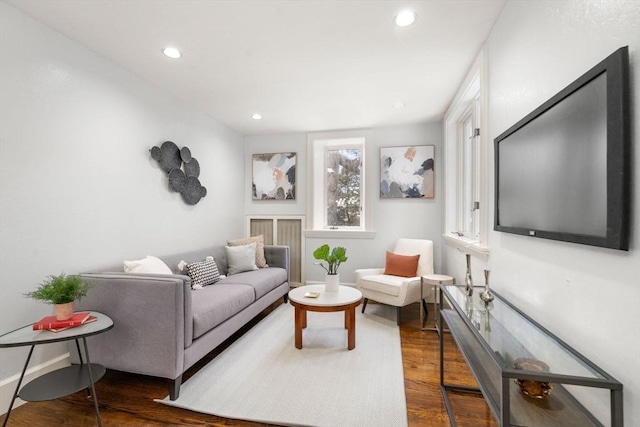 living room featuring dark hardwood / wood-style flooring