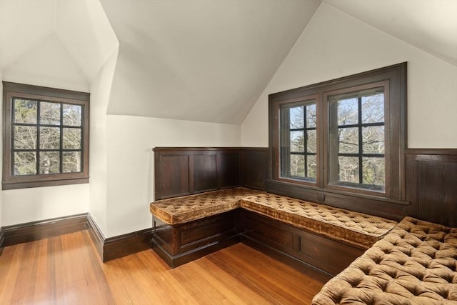 interior space featuring light hardwood / wood-style floors, vaulted ceiling, and a wealth of natural light