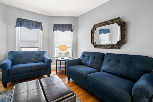 living room with wood finished floors