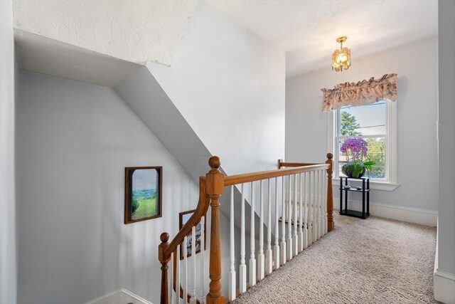 stairway featuring baseboards and carpet