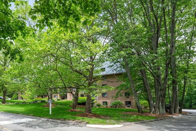 65 Commons Dr Unit 603, Shrewsbury, MA 01545 - obstructed view of property featuring a front yard and brick siding