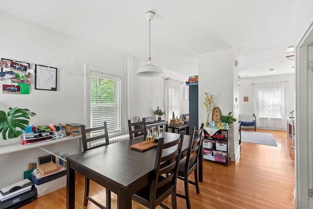 42 Carolina Ave, Boston, MA 02130 - dining area featuring light wood finished floors