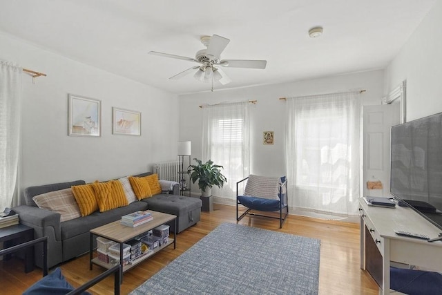 42 Carolina Ave, Boston, MA 02130 - living room with ceiling fan and light wood-style flooring