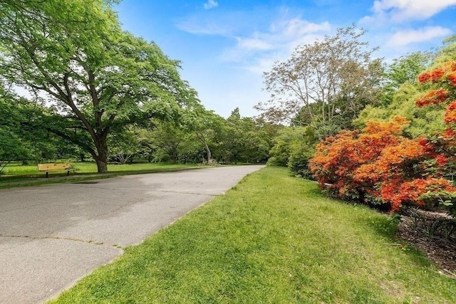 42 Carolina Ave, Boston, MA 02130 - view of asphalt road featuring a wooded view