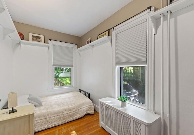 42 Carolina Ave, Boston, MA 02130 - bedroom with wood finished floors