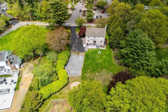 bird's eye view
