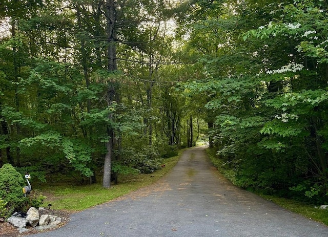 52 Nourse St, Westborough, MA 01581 - view of road with a wooded view