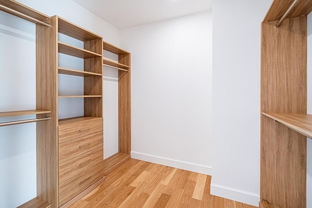 walk in closet featuring light wood-type flooring