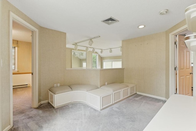 2 Hillside Dr Unit 2, Wayland, MA 01778 - hall with carpet floors, a baseboard radiator, and baseboards