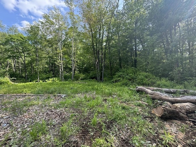 56-R Fountain Rd, Wales, MA 01081
