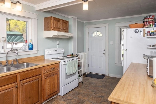kitchen with white appliances, under cabinet range hood, ornamental molding, and a sink