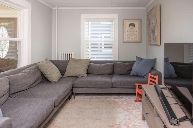 living room with crown molding and radiator heating unit
