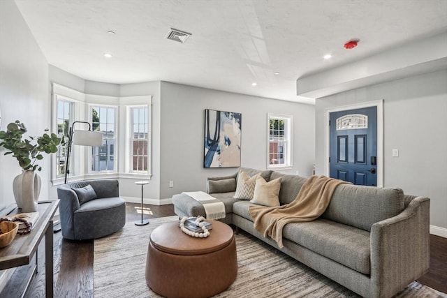 living room with wood-type flooring