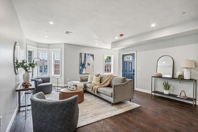 living room with dark hardwood / wood-style floors