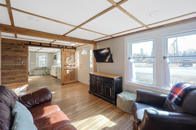 living room featuring light hardwood / wood-style floors and a barn door