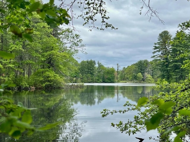 784 Main St, Hudson, MA 01749 - water view featuring a forest