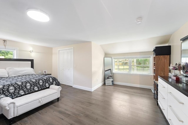 5 Woodland Dr, Oxford, MA 01540 - bedroom featuring wood finished floors, multiple windows, and a closet