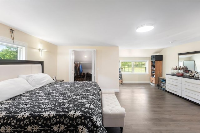 5 Woodland Dr, Oxford, MA 01540 - bedroom featuring wood finished floors and a walk in closet