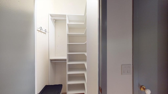 view of walk in closet