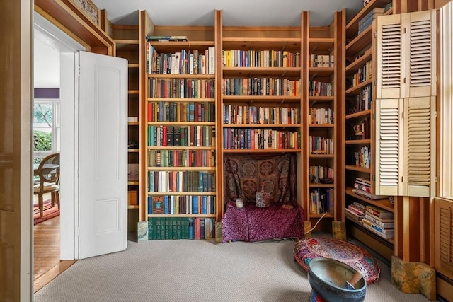 living area with carpet