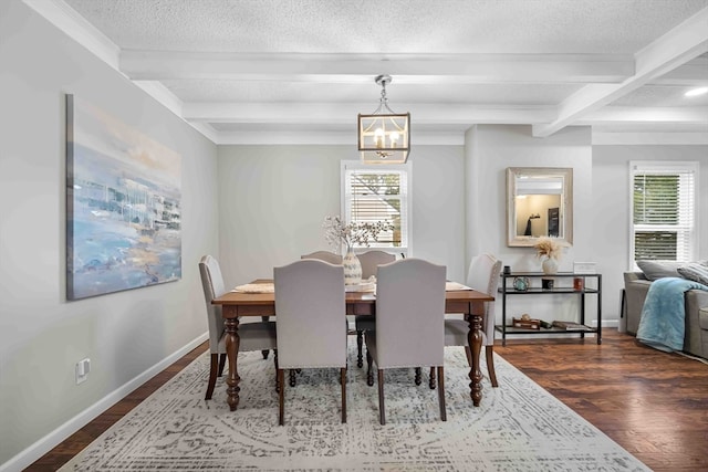 dining space with a textured ceiling, beamed ceiling, hardwood / wood-style flooring, and a healthy amount of sunlight