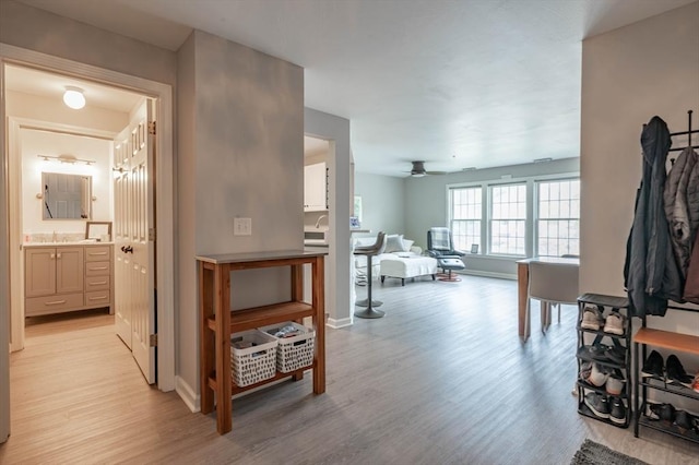 1 Riverview Blvd Unit 2-213, Methuen, MA 01844 - hall with light wood-style flooring, baseboards, and a sink