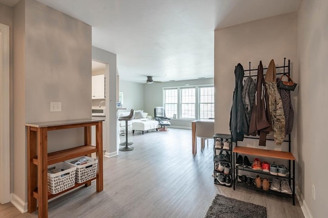 1 Riverview Blvd Unit 2-213, Methuen, MA 01844 - corridor with light wood-style flooring and baseboards