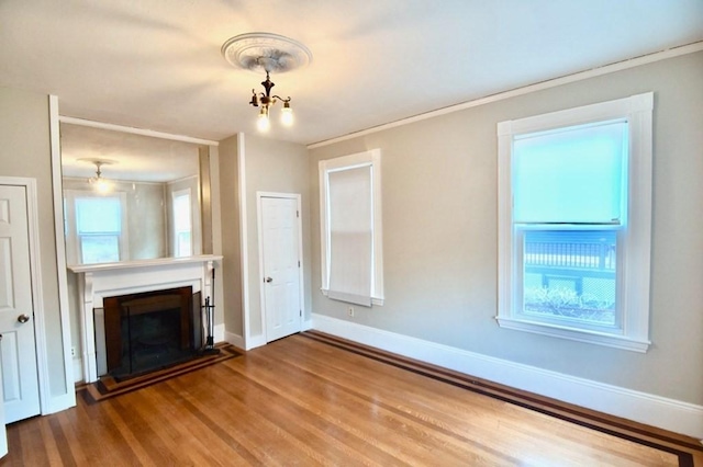 15-1/2 Tremlett St, Boston, MA 02124 - unfurnished living room with a fireplace with raised hearth, baseboards, wood finished floors, plenty of natural light, and ornamental molding