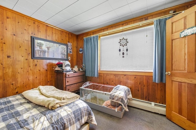 67 Main St, Atkinson, NH 03811 - carpeted bedroom with baseboard heating and wooden walls